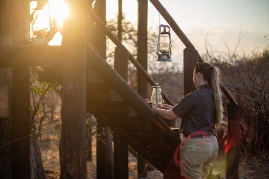 Women in safari often bring an unrivaled sense of empathy, patience and poise