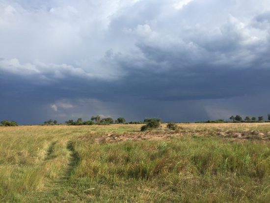 Helen: La tormenta de nubes antes de nuestro avistamiento con los rinocerontes