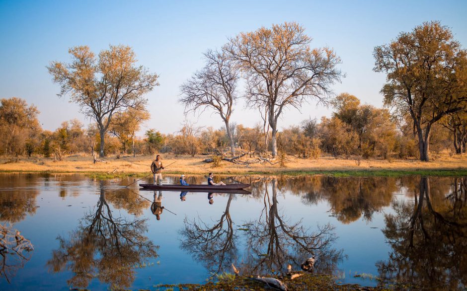 Absorva as vistas enquanto desliza silenciosamente ao longo do Delta do Okavango - desejos da África