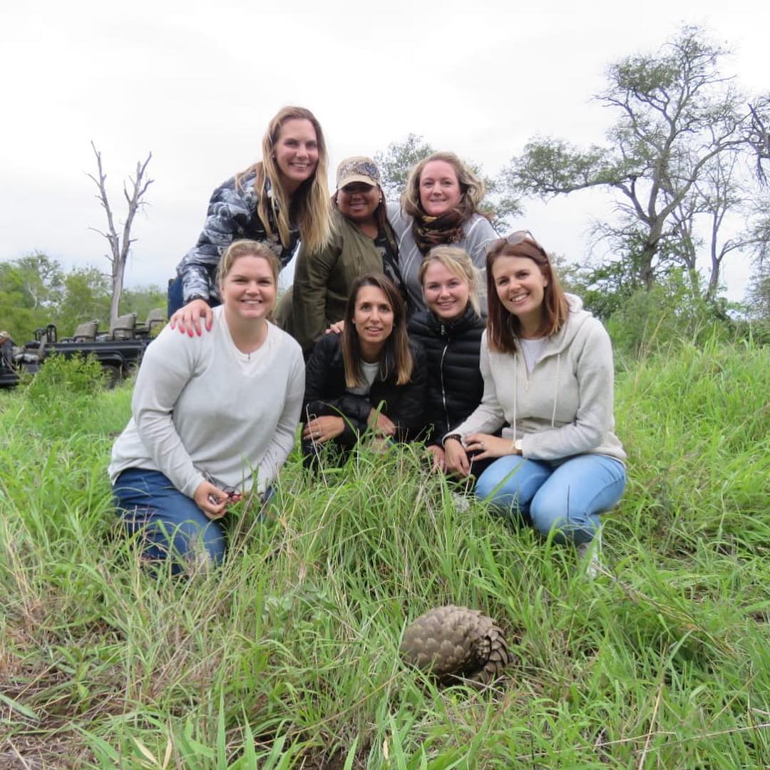 Rhino Africa team seeing a pangolin