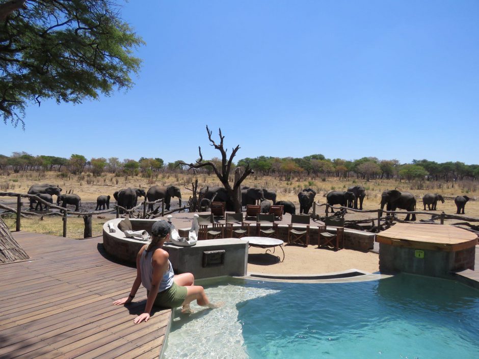Watch herds of elephants pass by as you sit on the deck at Somalisa Camp