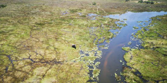 Das Okavango Delta von oben
