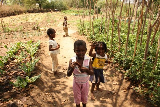 Children near Royal Chundu