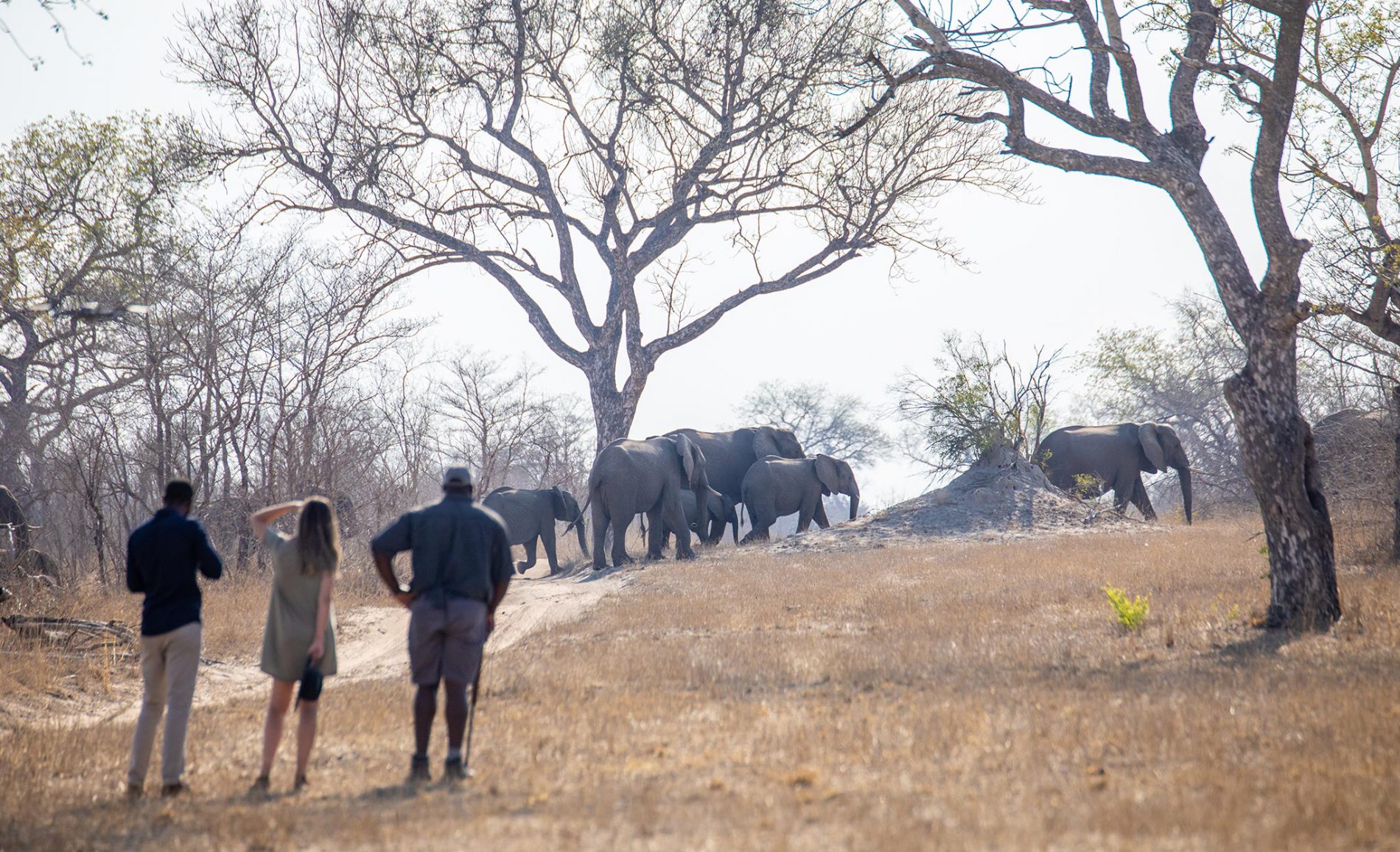 A guided walking safari at Silvan