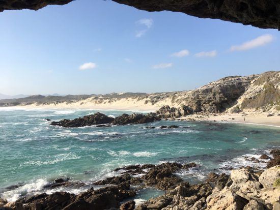 Grootbos en Afrique du Sud