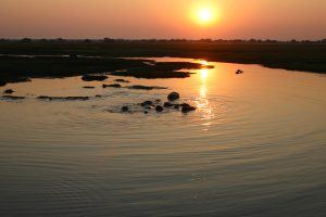 Sunsets and hippos in Lower Zambezi, Zambia - with Niki