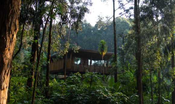 One&Only Gorilla's Nest - Volcanoes National Park, Rwanda