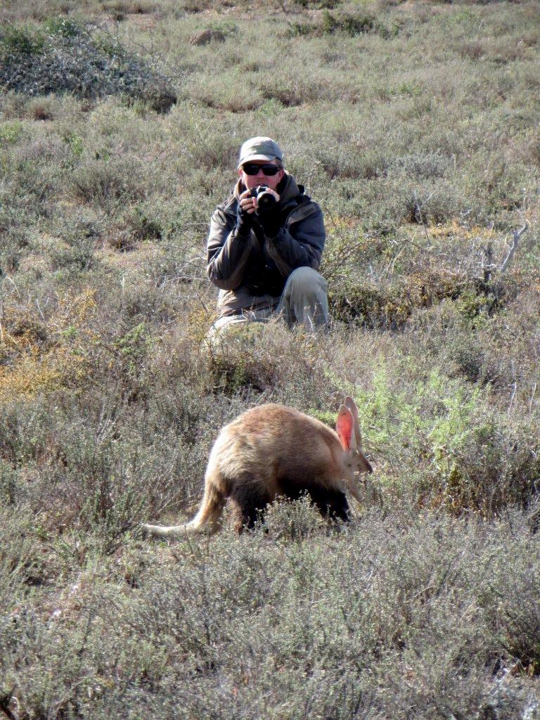 Photographing an aardvark on foot in Kwandwe Private Reserve