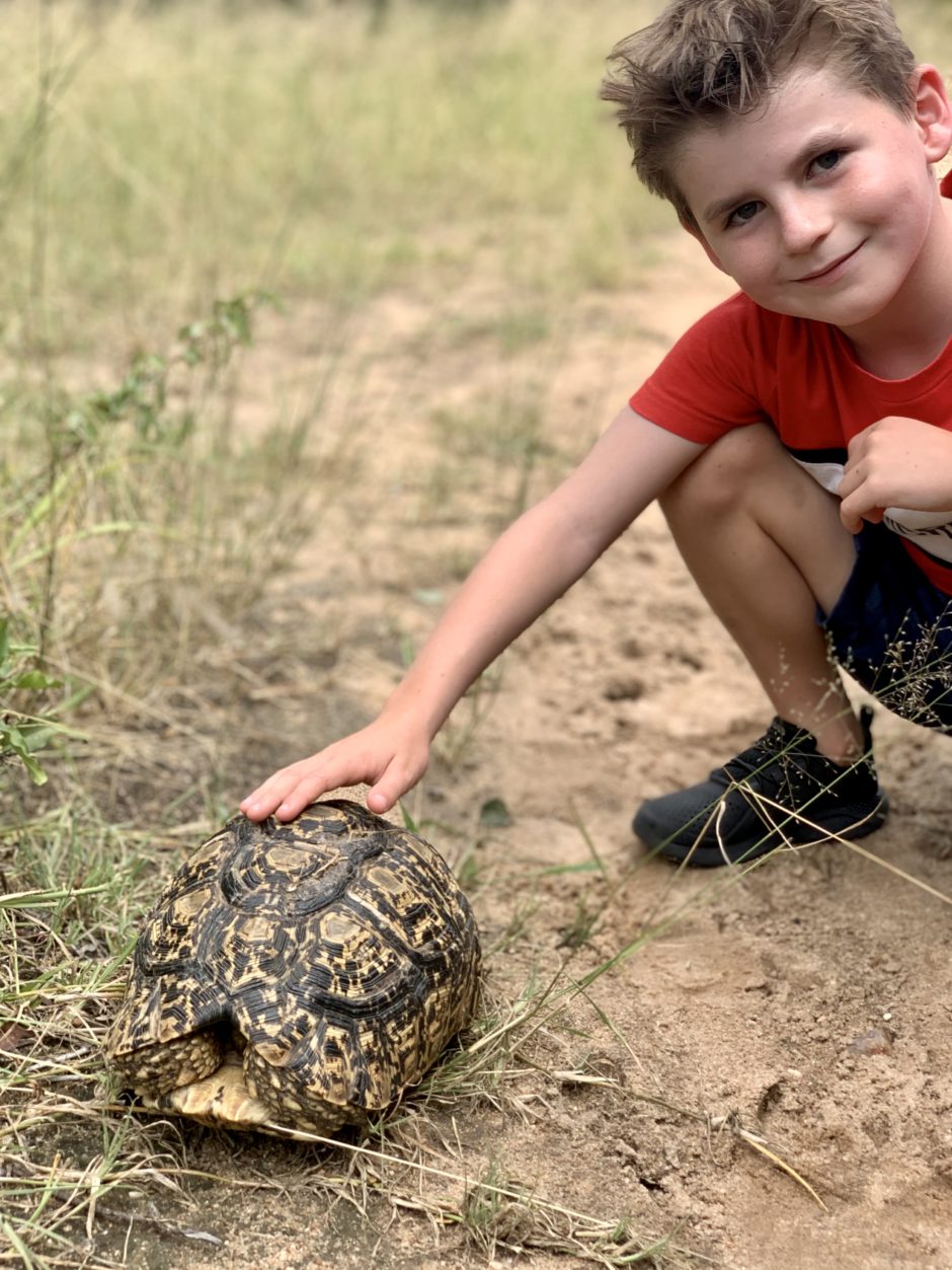 La naturaleza ofrece el aula más espectacular para nuestros niños