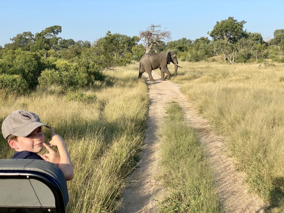 Matthew being tracker with an elephant at Silvan