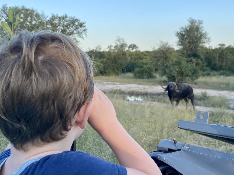 Michael viewing a buffalo at Silvan while in lockdown