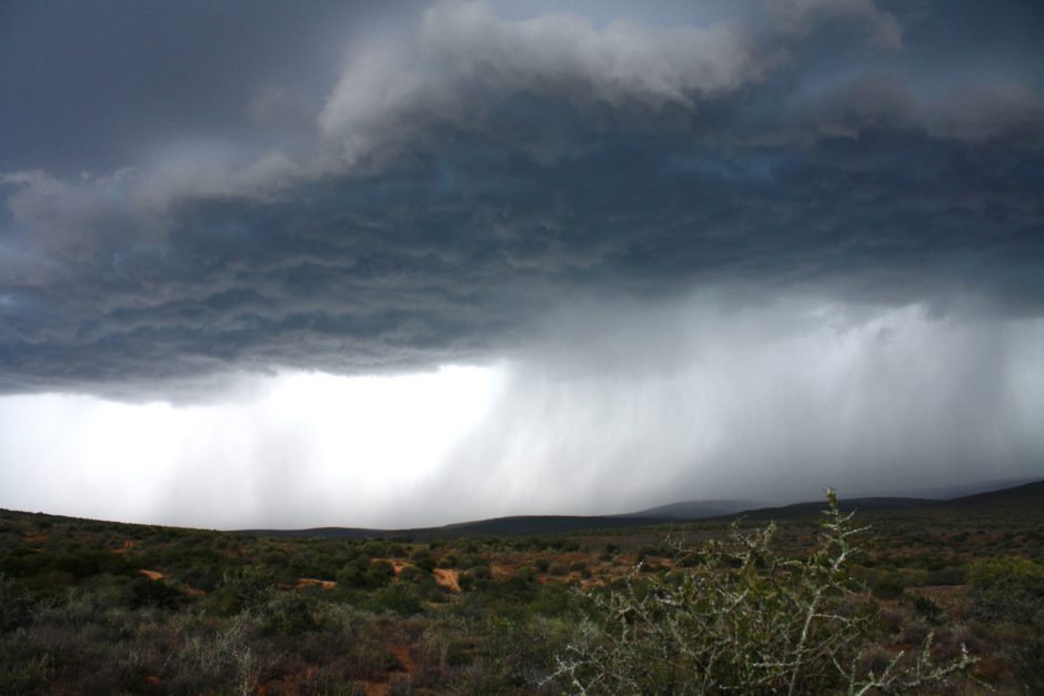 Dramatic rain drop in Kwandwe