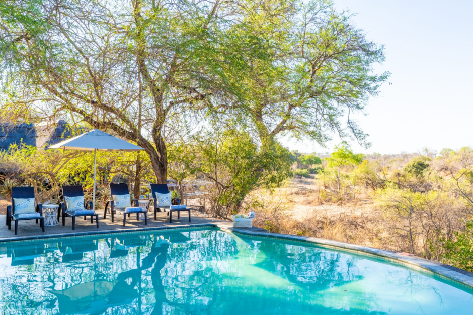 Pool with bush views at Thornybush Game Lodge