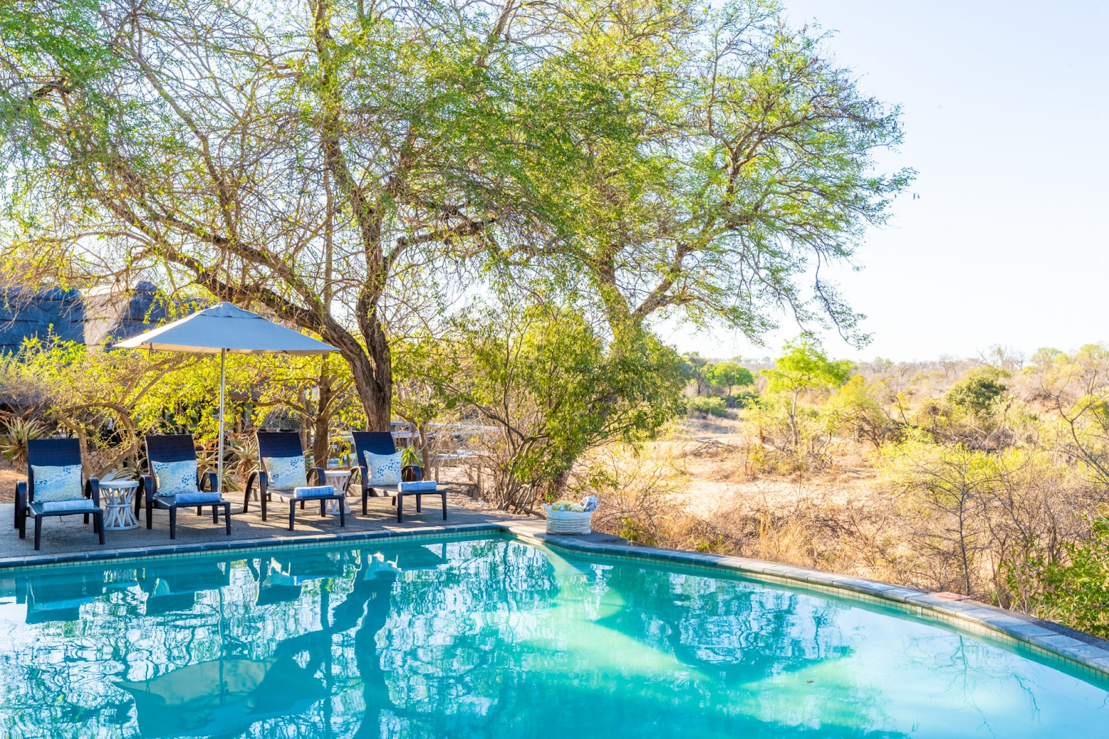 off-the-beaten-track-destinations-thornybush-game-lodge