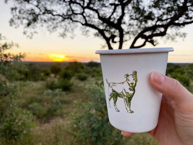 Auf Safari mit der Jock Safari Lodge in Südafrika