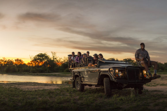 Cinco razões pelas quais um safari africano é o destino ideal para as suas férias