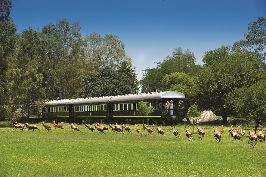 rovos-rail-train-overlooking-game