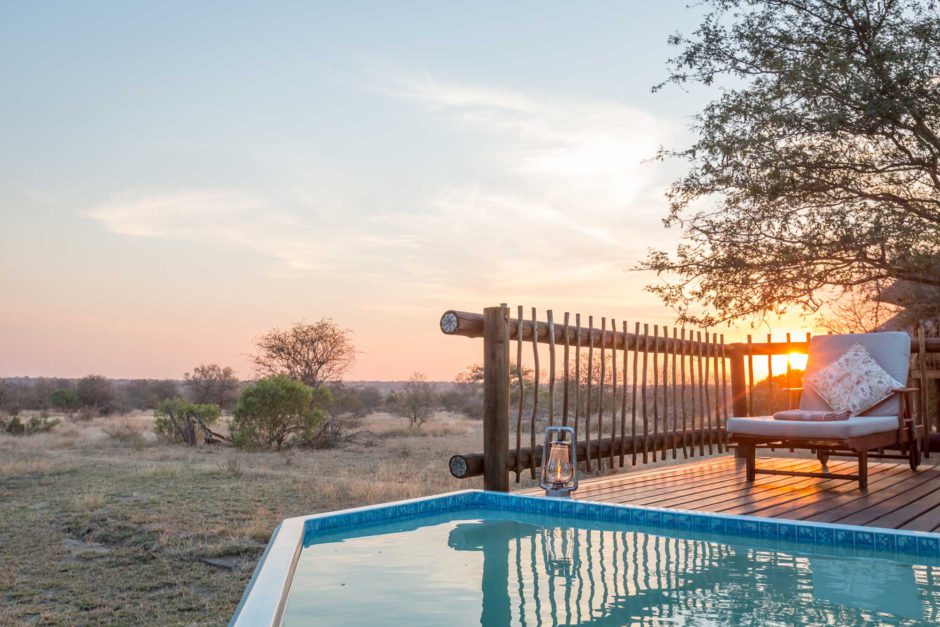 Piscine avec vue à nThambo Tree Camp