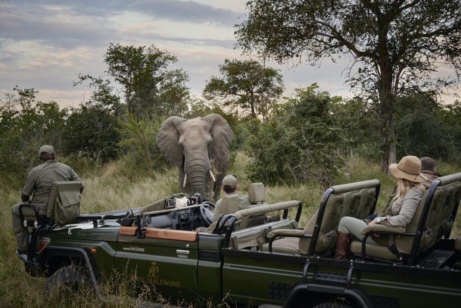 La capacidad del vehículo abierto de safari se ha reducido ofreciendo una experiencia más íntima