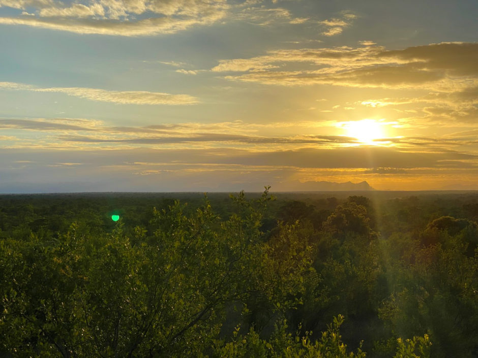 Aussicht vom Deck, das James von der Senalala Safari Lodge im Busch errichtet hat