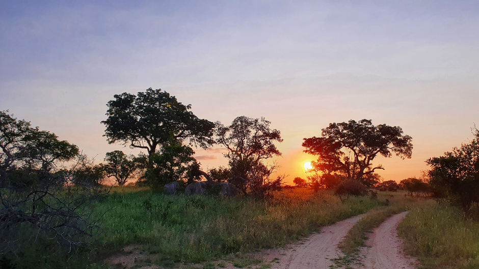 Beautiful African sunset at Londolozi Private Game Reserve