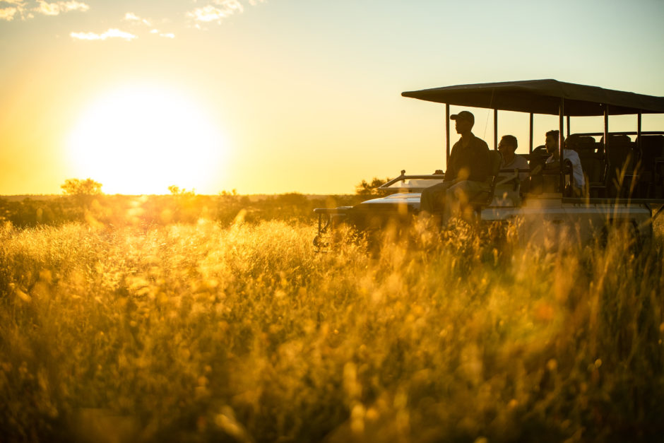 Pirschfahrt bei Sonnenuntergang- buchen Sie mit Afrikas führendem Safari-Unternehmen