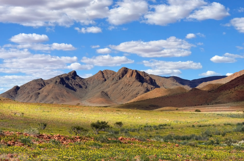 Namibia in der Regenzeit: Grüne Wüste statt Trockenheit