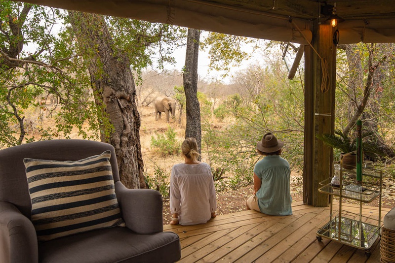 Game viewing from the modern Safari Trails Camp