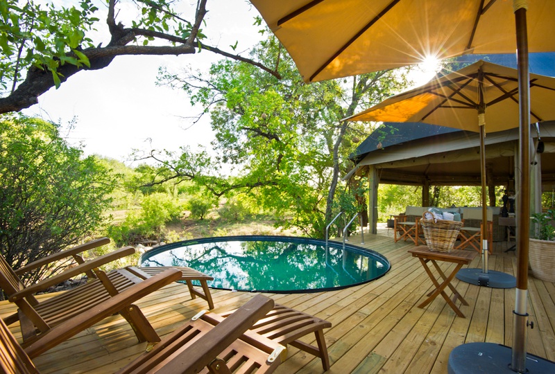 The plunge pool and sun deck at Klaserie Sands Safari Trails Camp