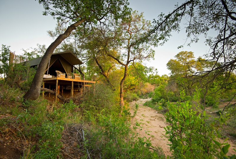 Four beautifully appointed tents boasting elevated views of the riverbed