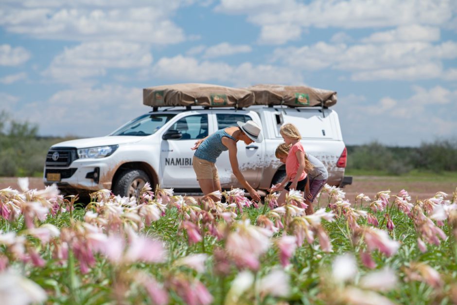 Die Sandhof Lilien in voller Blüte Anfang 2021