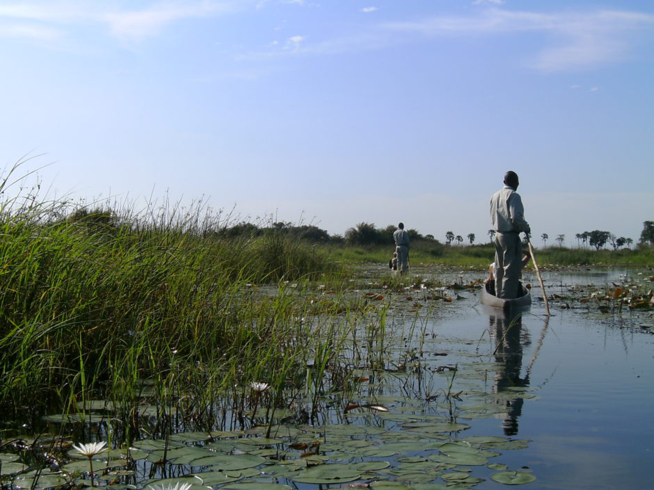 Le mokoro est une activité unique au Botswana