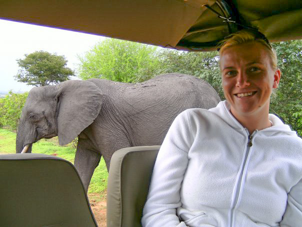 Safari au parc de Chobe réputé pour sa population d'éléphants