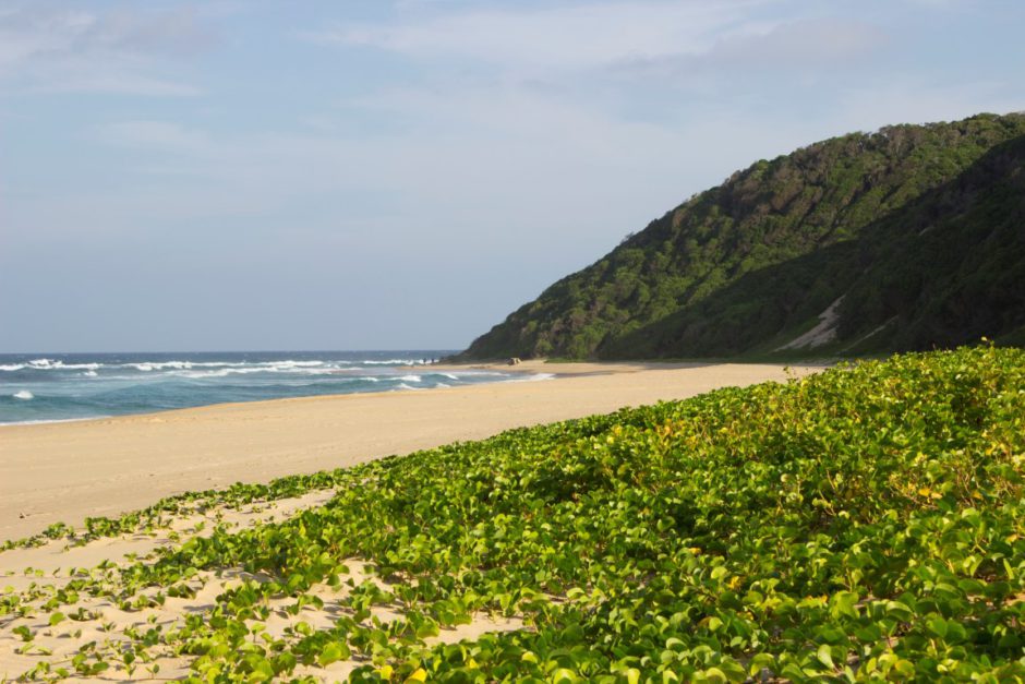 Endless views of coastal forest and sandy beach around Thonga Beach Lodge