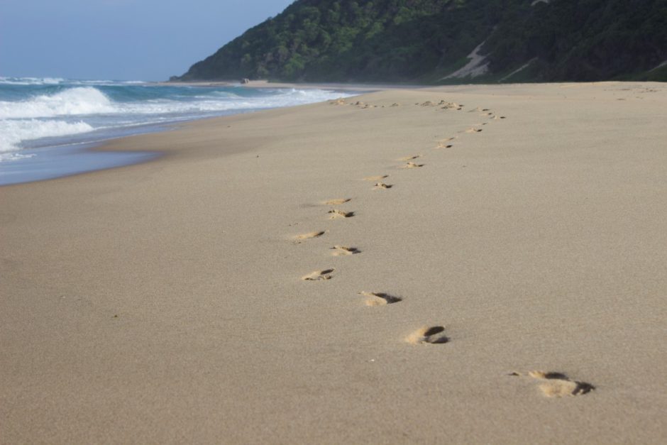 Footsteps on the beach in front of Thonga Beach Lodge