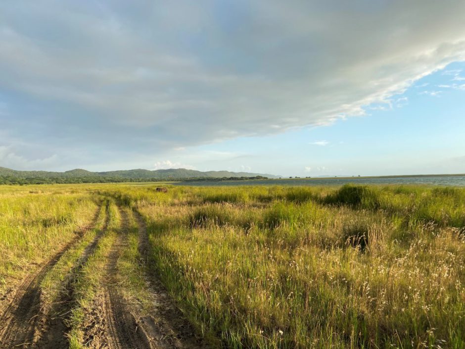 Beautiful Kwa-Zulu-Natal near Thonga Beach Lodge