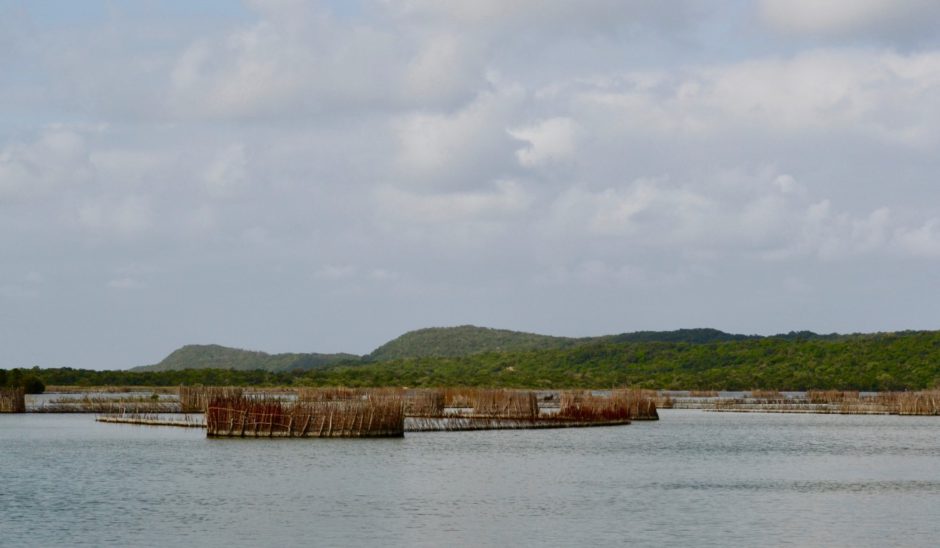 Pièges à poissons Thonga, en KwaZulu-Natal