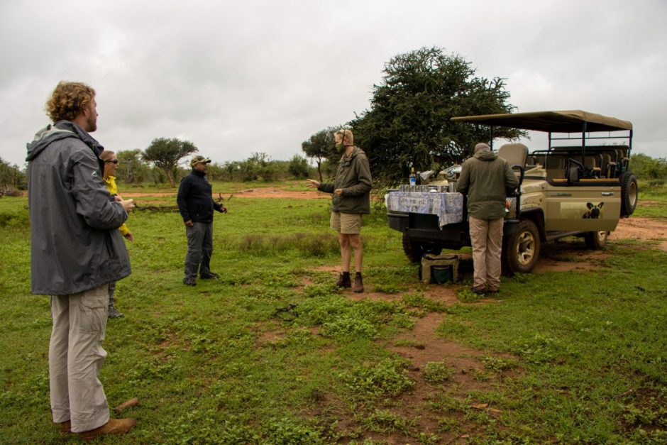 Game drive coffee break near Madikwe Hills Private Game Lodge