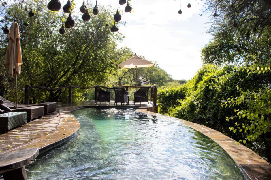 Swimming pool at Motswiri Private Safari Lodge