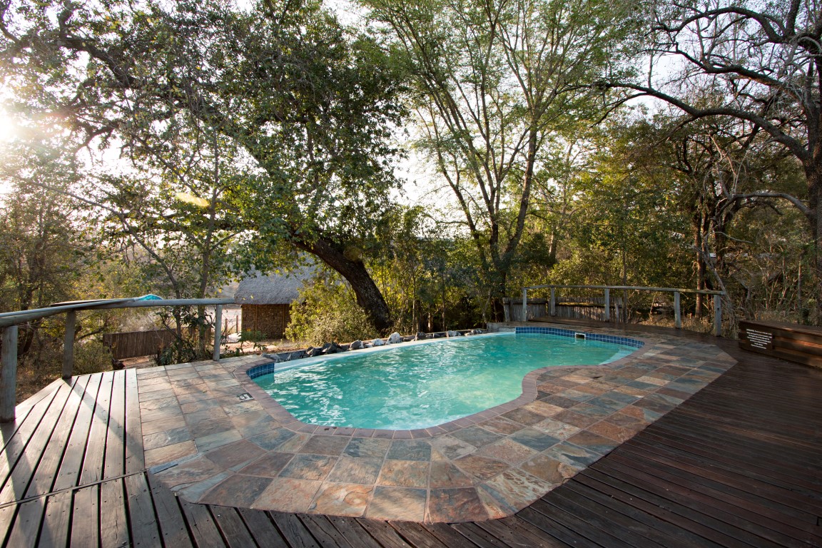 Swimmingpool der familienfreundlichen Rhino Post Safari Lodge