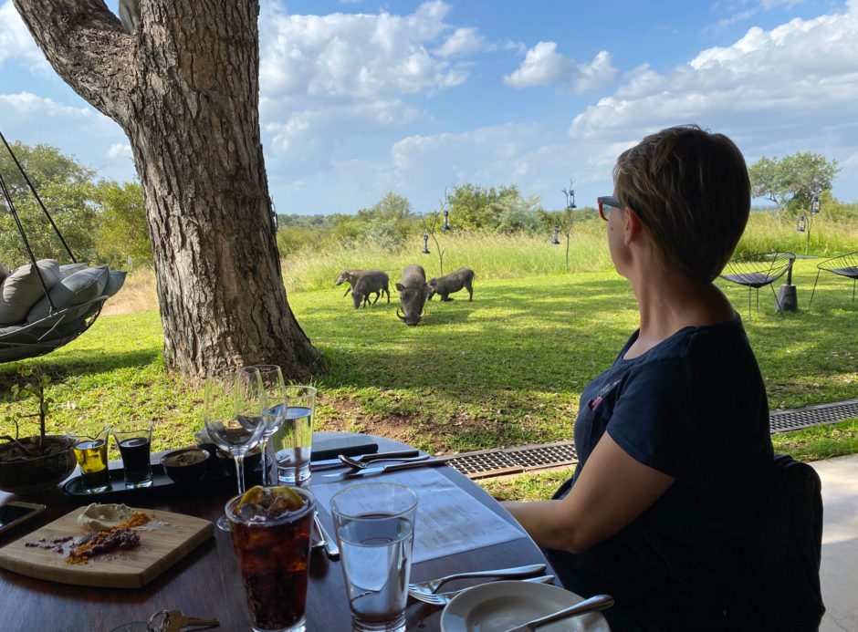 Tierischer Besuch beim Mittagessen in der Sabi Sabi Earth Lodge