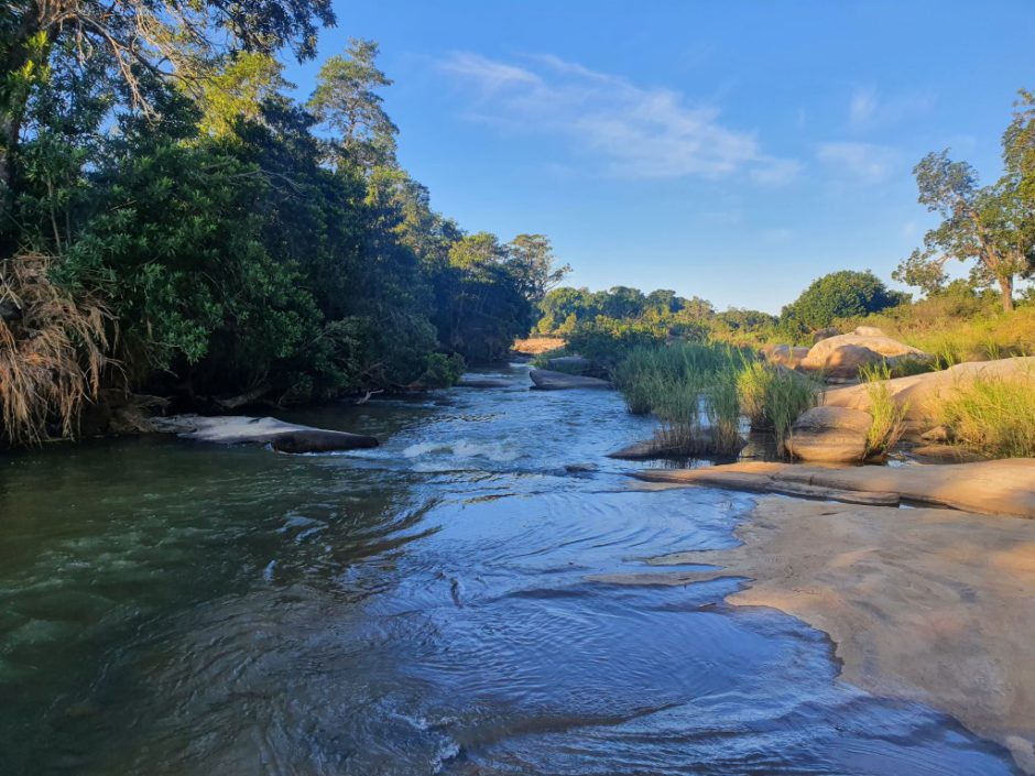 Views of the Sand River