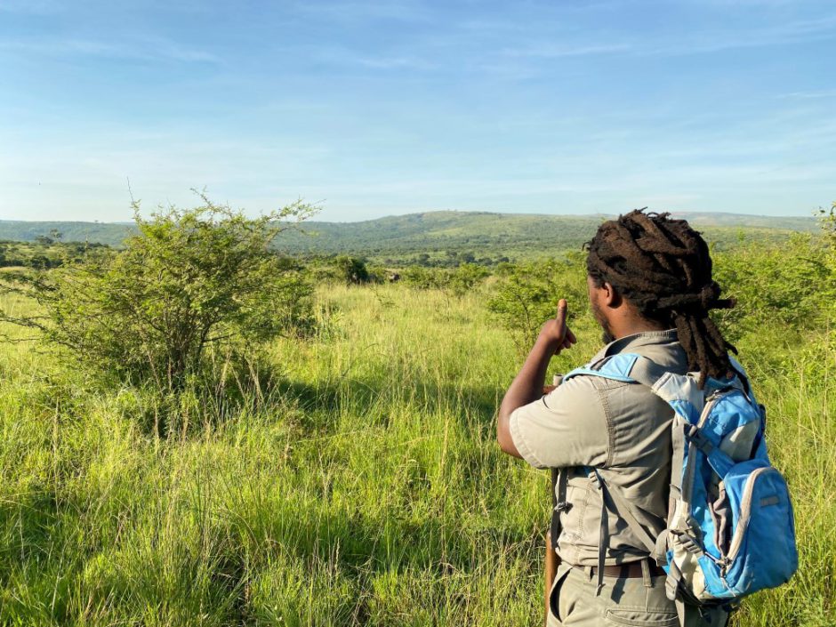 Rhino Ridge Safari Lodge: Auf Buschwanderung mit Nunu