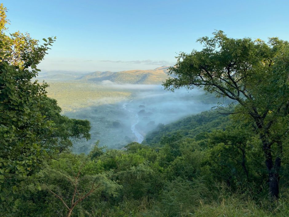 Schlucht mit Fluss im Hluhluwe Imfolozi Game Reserve in Südafrika