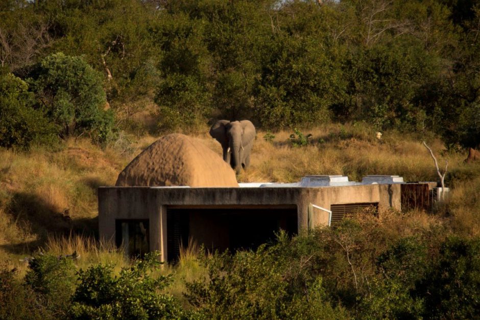 Sabi Sabi Earth Lodge si bien camouflé dans la nature