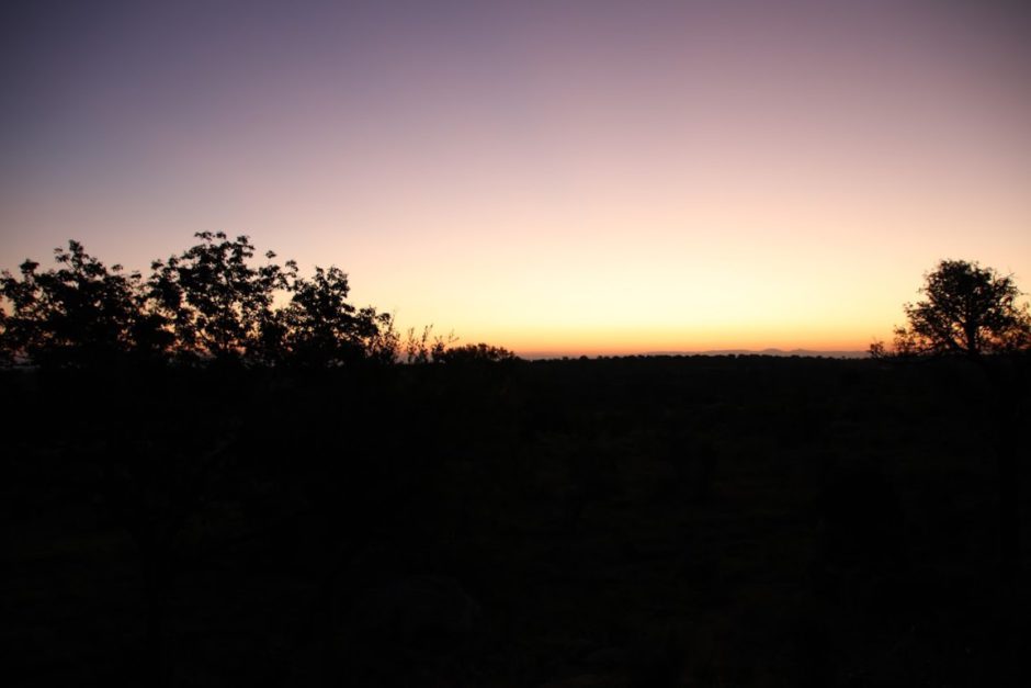 Coucher de soleil inoubliable chez Sabi Sabi Earth Lodge