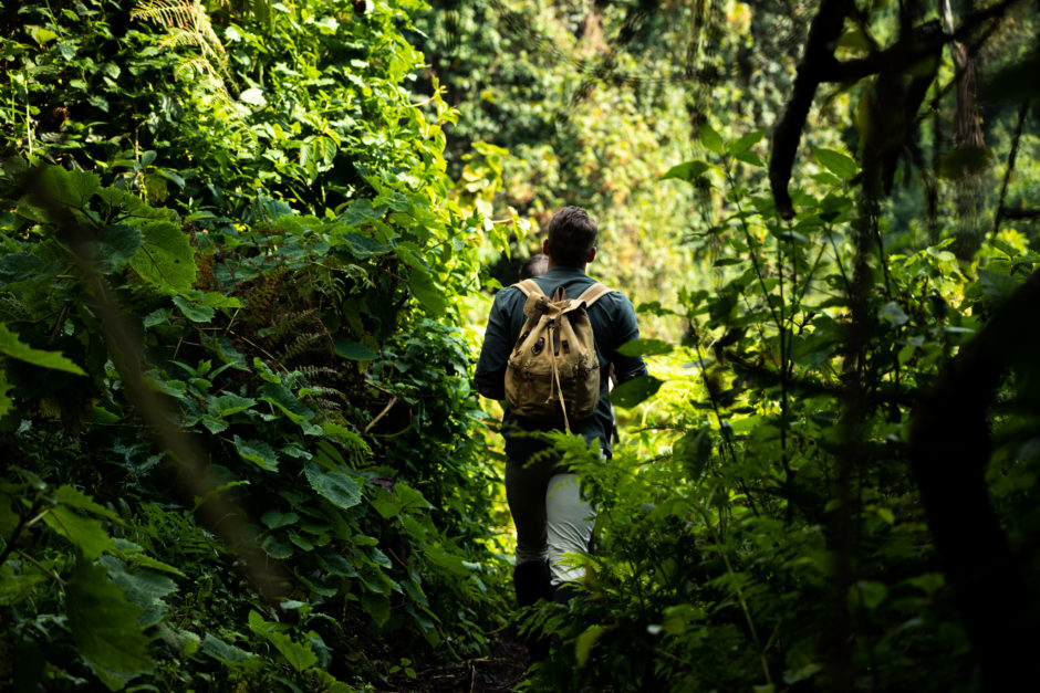 Caminhe pelas profundezas do deserto em Ruanda para uma experiência emocionante