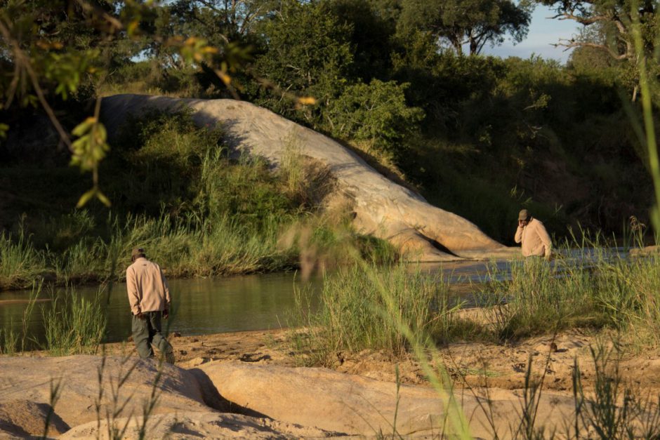 Inyati Game Lodge: George and Solly tracking in the bush