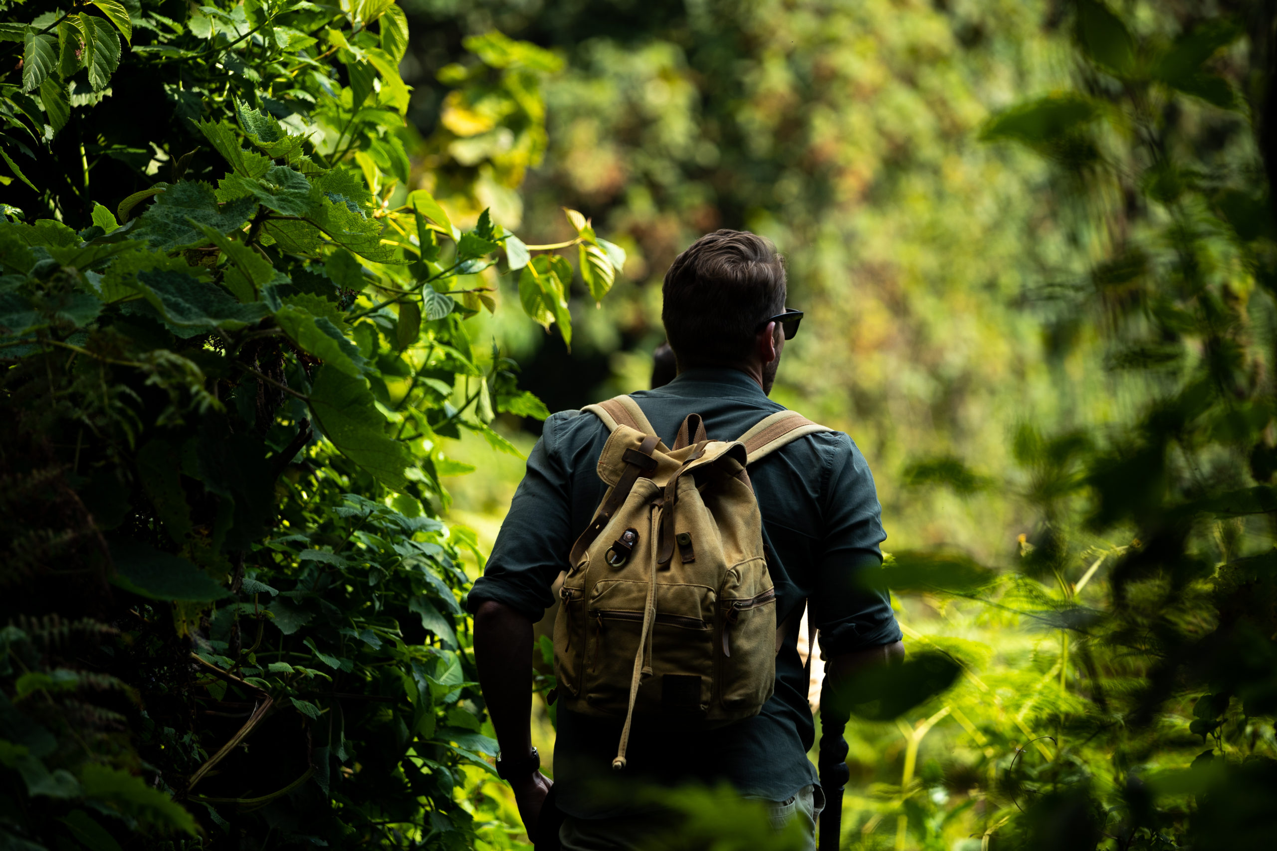 Man on a gorilla trekking adventure in Rwanda