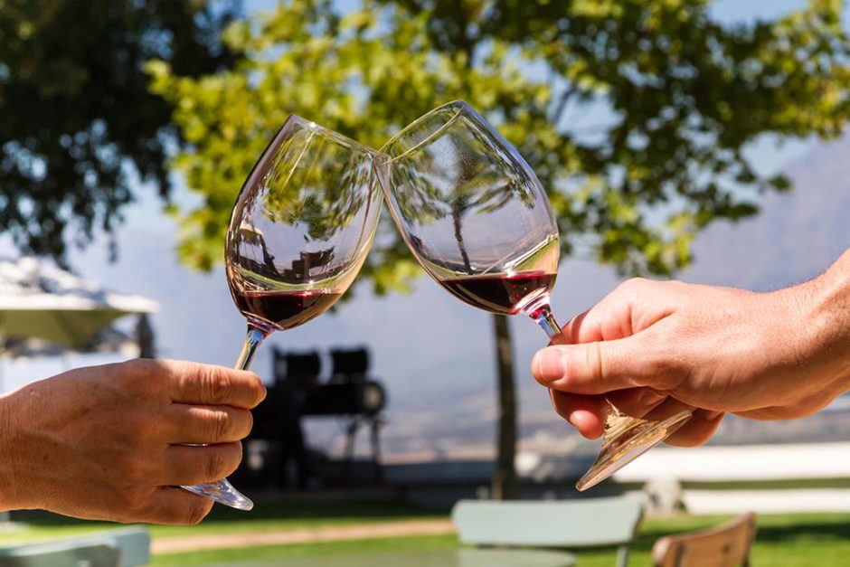 Dégustation de vin dans les vignobles autour du Cap